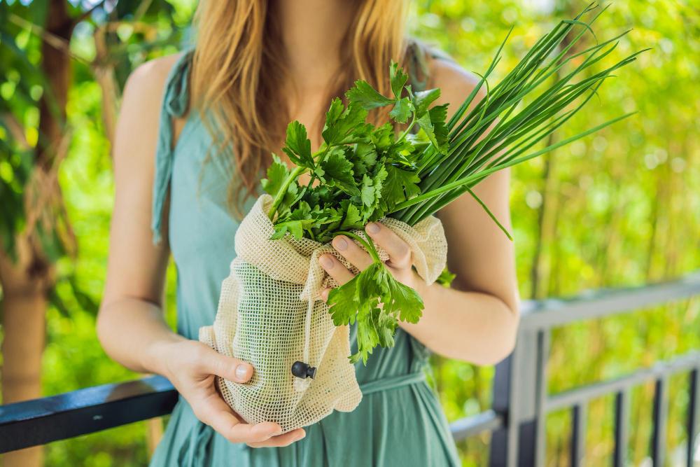 Grădină urbană: cum să cultivi legume și ierburi aromatice