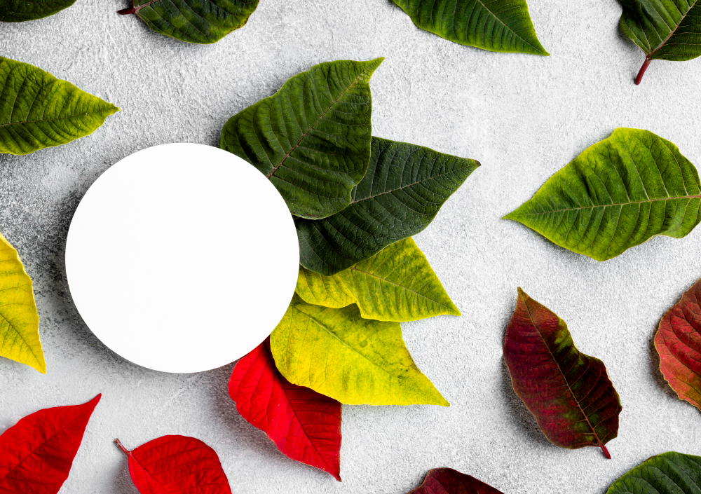 Foițe blotting lavabile: noua generație eco-friendly